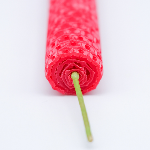 Kerze 'Zeitlupenböller' pinke distel