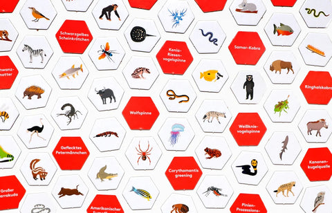 Wimmel-Spiel 'Erste*r sein' – Gefährliche Tiere