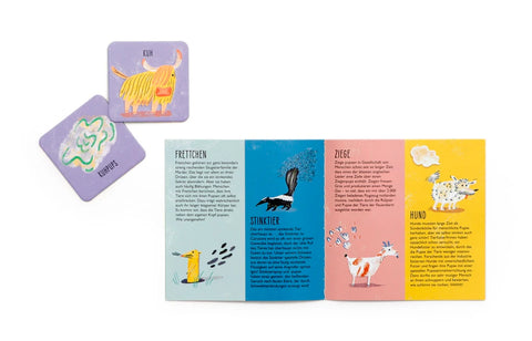 Memory-Spiel 'Wer hat gepupst?' Laurence King Verlag