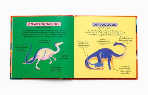 Kinderbuch 'Mein erstes Dino-Buch' Laurence King Verlag