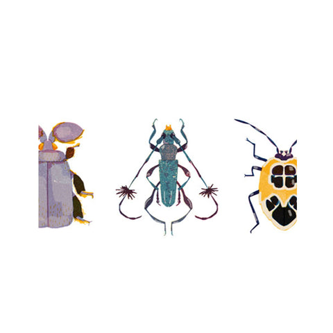 Washi Tape 'Käfer/Bugs' jungwiealt
