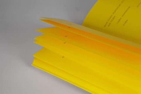 Buch 'Königswege zum Unglück' Frank Berzbach, Jenna Gesse / Verlag Hermann Schmidt