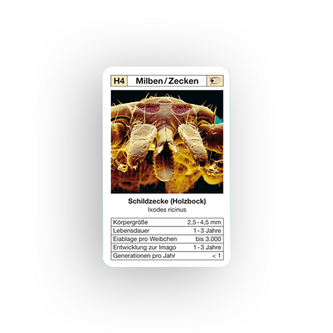 Quartett 'Ungeziefer' Weltquartett