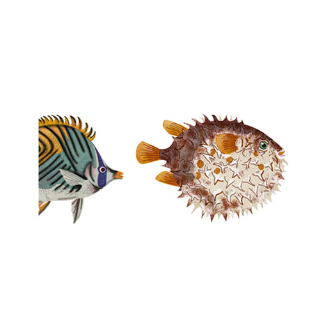 Washi Tape 'Fische/Tropical' jungwiealt