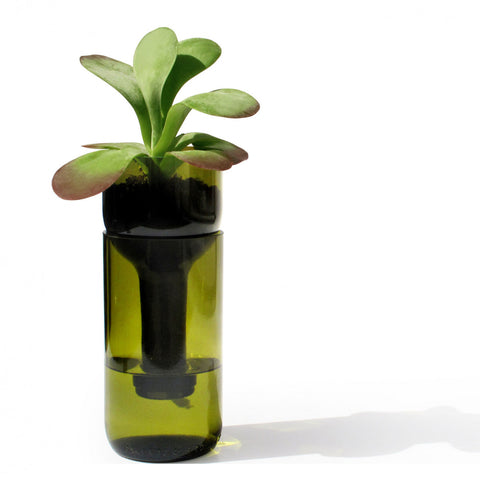 Self Watering Bottle 'grün' side by side