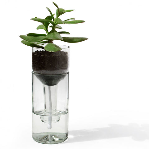Self Watering Bottle 'klar' side by side