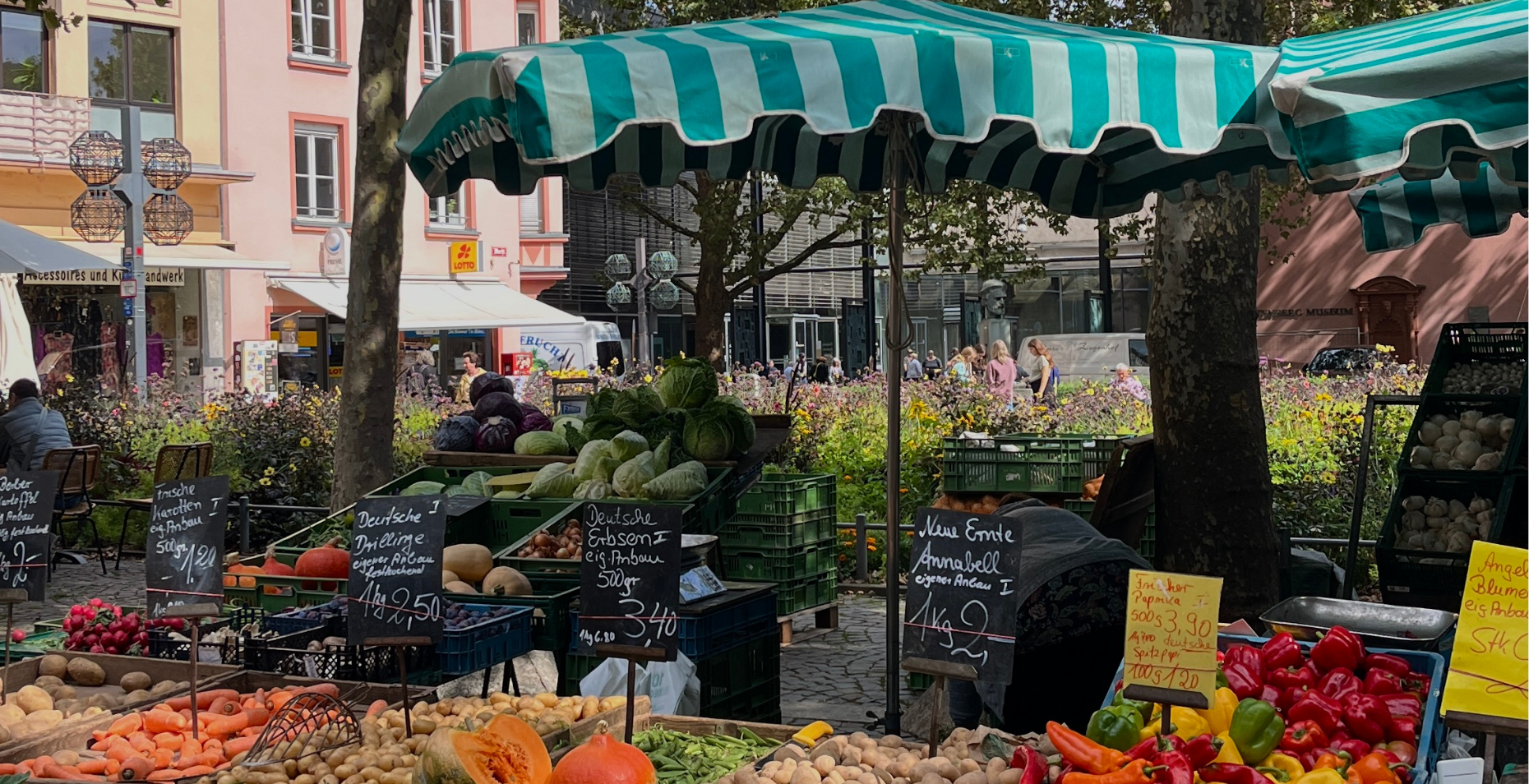 Mainzguide: Eltern zu Besuch