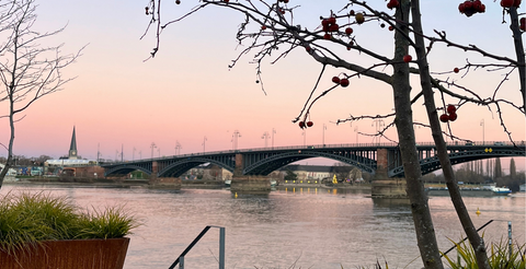 Mainz bei gutem Wetter