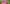 PFLANS – unsere grüne Schwester