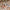 Kinderbuch 'Spielzeug ist für alle da!' Zuckersüß Verlag