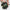 DayPack 2.0 'Algae' GOT BAG