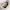 Moon Bag Ruffle 'Soft Shell' – Monochrome Edition GOT BAG