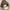 Kids Adventure Rolltop 'Sandbar' GOT BAG