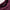 Cloud Shoulder Bag 'Kraken' – Monochrome Edition GOT BAG