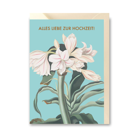 Klappkarte 'Alles Liebe zur Hochzeit!' – weiße Blumen/türkis Hintergrund Erden Projekt