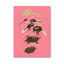 Postkarte 'Not a girl, not yet a woman' Slinga
