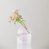 Vase &