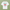 T-Shirt 'Bauch voll Spaghetti, alles paletti' Viel Spass Studio