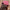 Cap 'Liebe auf die Eins' – vintage red Bee Proud