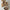 Haarklammer 'Josefin' – tortoise Jona the Label