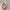 Haarklammer 'Josefin' – tortoise amour Jona the Label