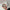 Haarklammer 'Josefin' – happy face Jona the Label