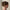 Haarklammer 'Bigga' – tortoise Jona the Label