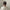 Hairpin 'Wavy U-Shape' – snowflake Jona the Label