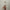 Hairpin 'Wavy U-Shape' – snowflake Jona the Label