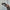 Haarklammer 'Bigga‘ – espresso Jona the Label
