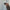 Haarklammer 'Emi' – espresso Jona the Label