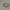 Scrunchie – Beige Jona the Label