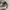 Scrunchie – Choco Jona the Label