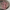 Scrunchie – Rose Jona the Label