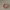 Scrunchie – Rose Jona the Label