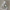 Scrunchie – Green Jona the Label