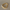 Scrunchie – Butter Jona the Label