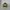 Haarklammer 'Josefin' – lime green Jona the Label