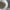 Haarklammer 'Josefin' – lime green Jona the Label