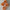 Haarklammer 'Josefin' – pumpkin Jona the Label