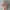Haarklammer 'Josefin' – pale blush Jona the Label