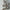 Haarklammer 'Josefin' – cappuccino Jona the Label