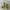 Haarklammer 'Josefin' – lime green Jona the Label