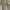 Haarklammer 'Josefin' – lime green Jona the Label