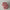 Haarklammer 'Maja' – rose polka dots Jona the Label