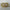 Haarklammer 'Josefin' – yellow polka dots Jona the Label