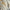 Haarklammer 'Matilda' – butter dots Jona the Label