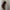 Haarklammer 'Line' – pink paradise Jona the Label