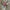 Haarklammer 'Line' – pink paradise Jona the Label