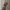 Haarklammer 'Line' – pink paradise Jona the Label